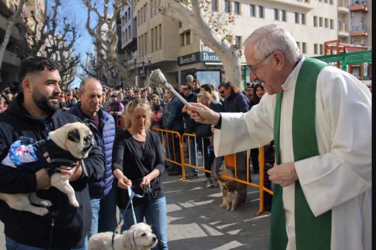 Sant Antoni Abat 2026 В Дении: Краткая Программа Праздника Благословение животных на празднике Sant Antoni Abat в Дении: священник крестит питомцев во время ромерии