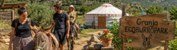 Прогулка с ослом на ферме Granja Ecoburropark в Марина-Альта